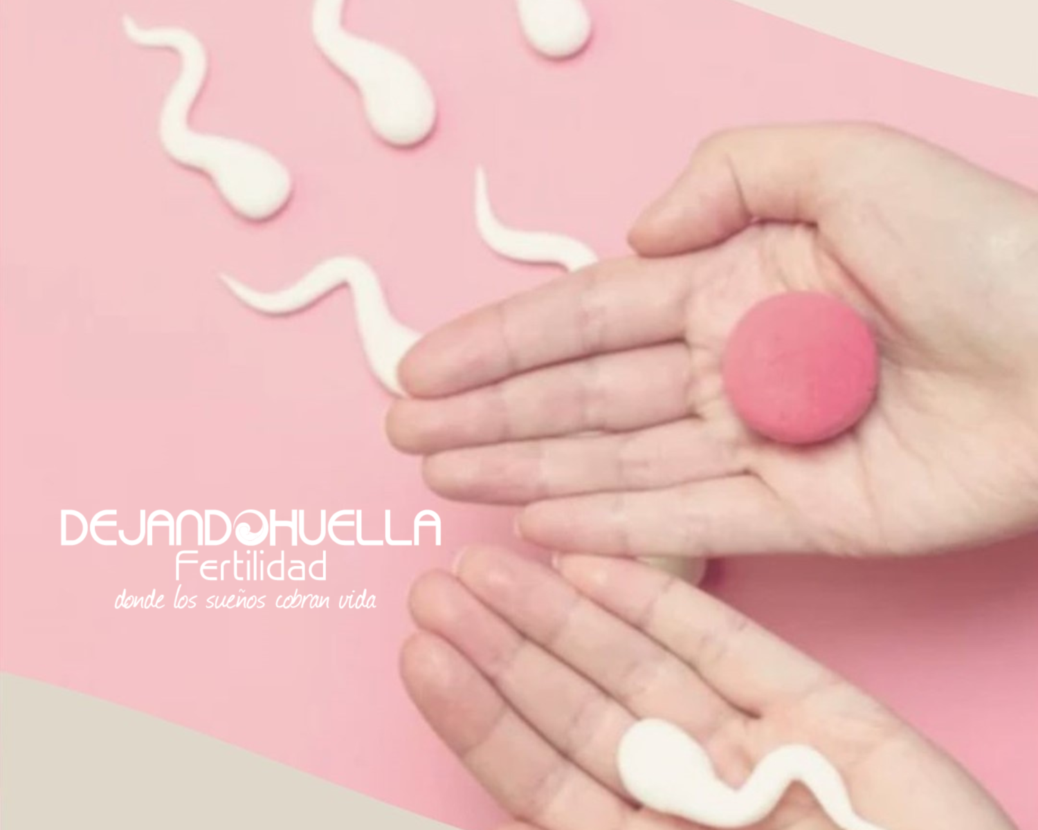 Dh-fertilidad-logo